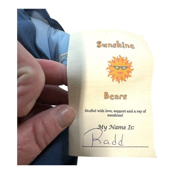 Sunshine Bears Plush "Radd" Blue Teddy Star-Spangled Sailor Boy Outfit & Tag - Picture 3 of 5